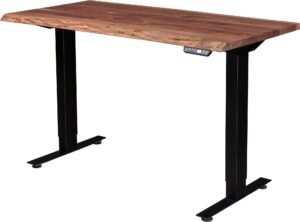 Adona Adjustable Desk